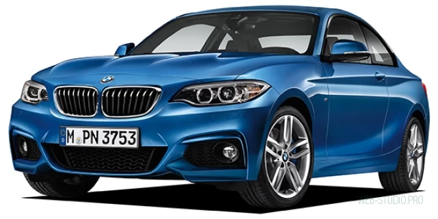 BMW 2 SERIES DBA-1J20 2014.6