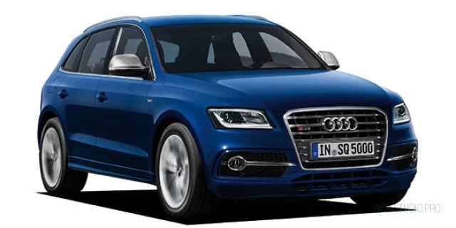 AUDI SQ5 ABA-8RCTXF 2015.1