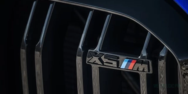 BMW X5 M 3BA-JU44M 2022.1