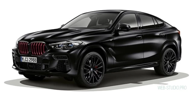 BMW X6 3BA-CY44 2022.5