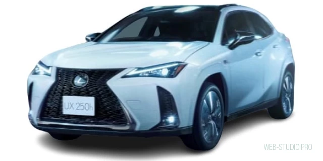 LEXUS UX200 6BA-MZAA10 2022.7