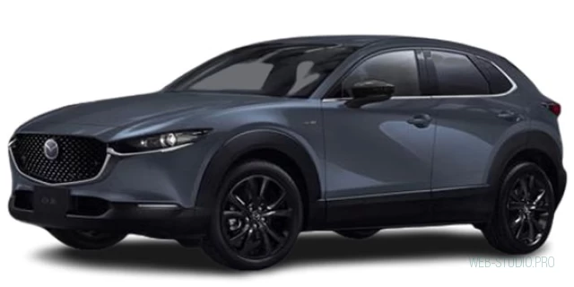 MAZDA CX30 5AA-DMEJ3P 2022.8