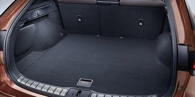 LEXUS RX 6LA-AALH16 2022.11