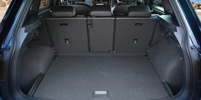 VOLKSWAGEN TIGUAN 3BA-5NDPC 2023.6