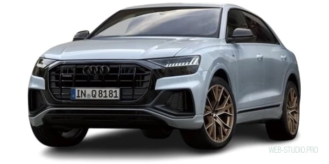 AUDI Q8 3DA-F1CVMA 2023.11