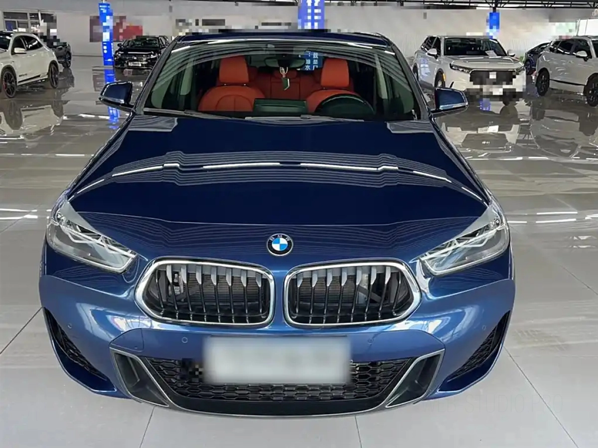 BMW X2