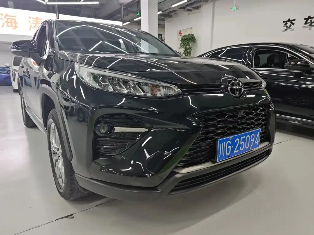 TOYOTA WILDLANDER
