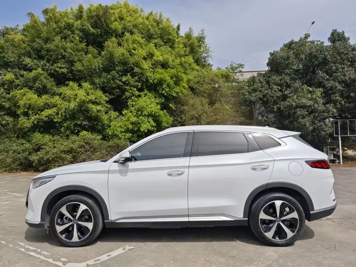 BYD SONG PLUS NEW ENERGY