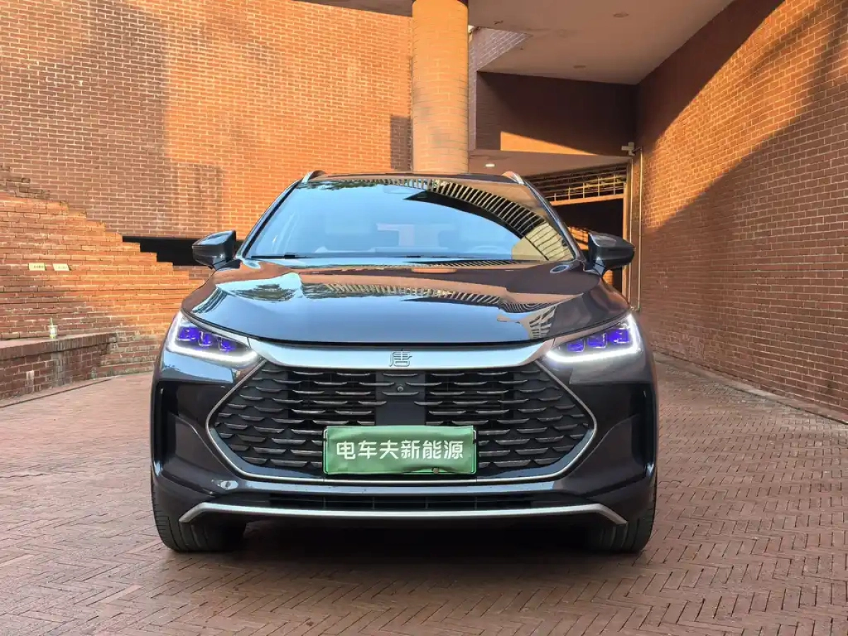 BYD TANG NEW ENERGY