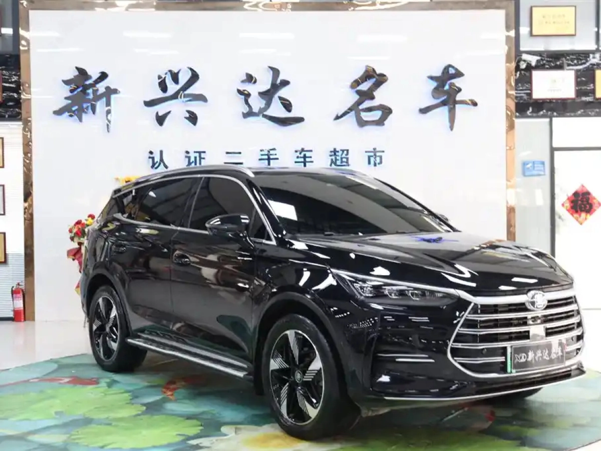 BYD TANG NEW ENERGY