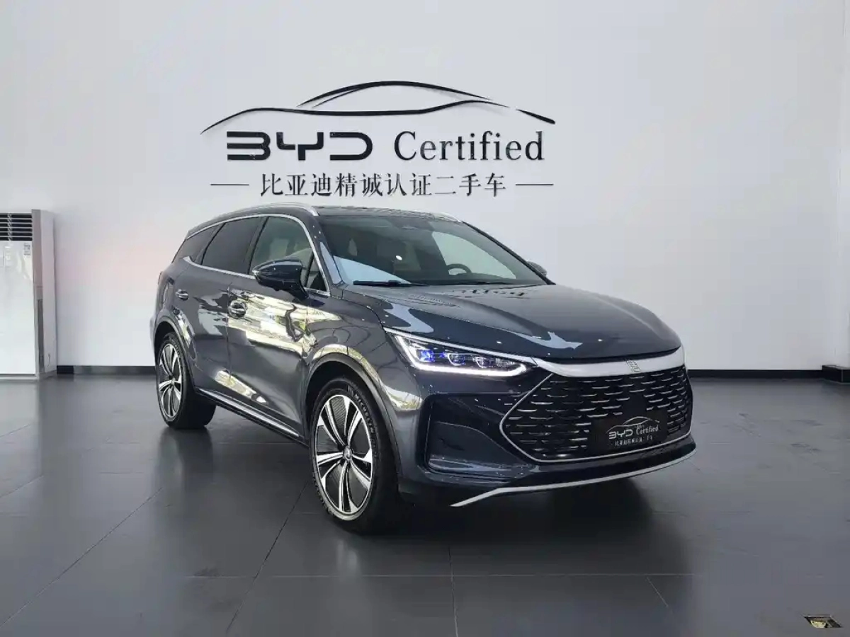 BYD TANG NEW ENERGY
