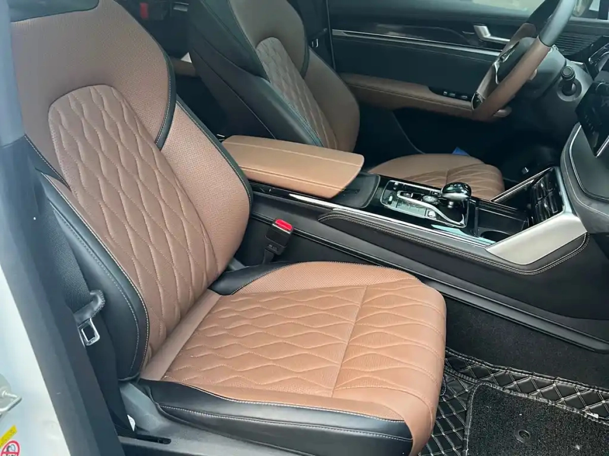 BYD TANG NEW ENERGY