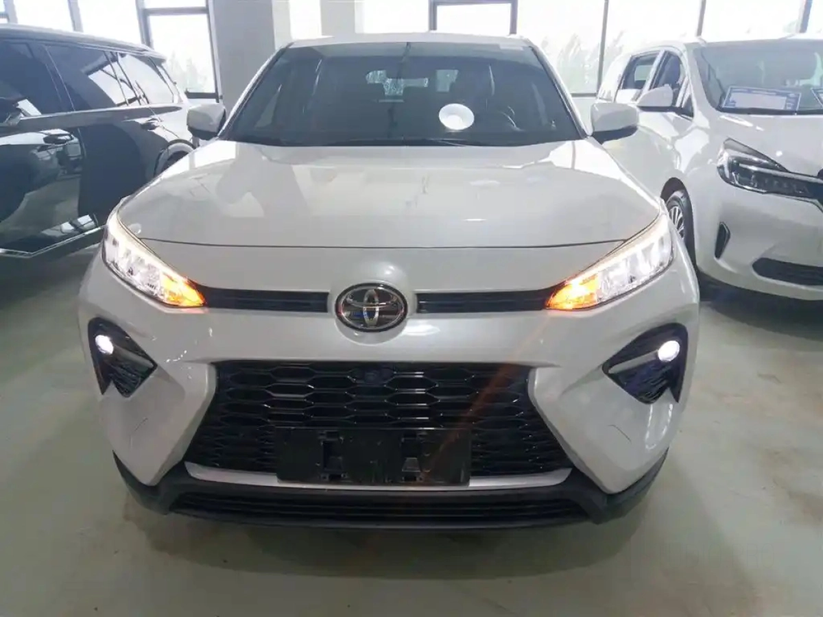 TOYOTA WILDLANDER