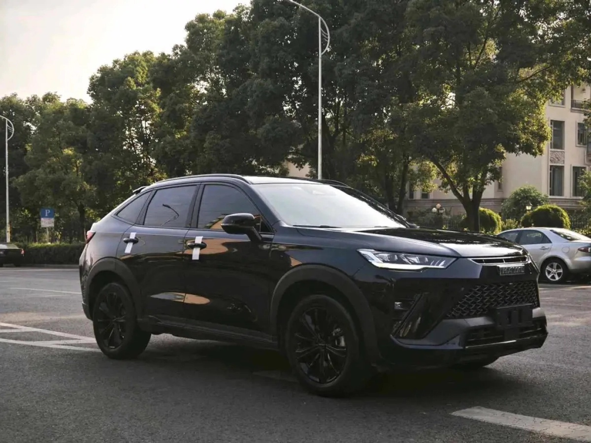 HAVAL H6S