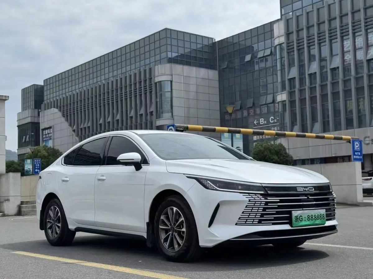 BYD DESTROYER 05