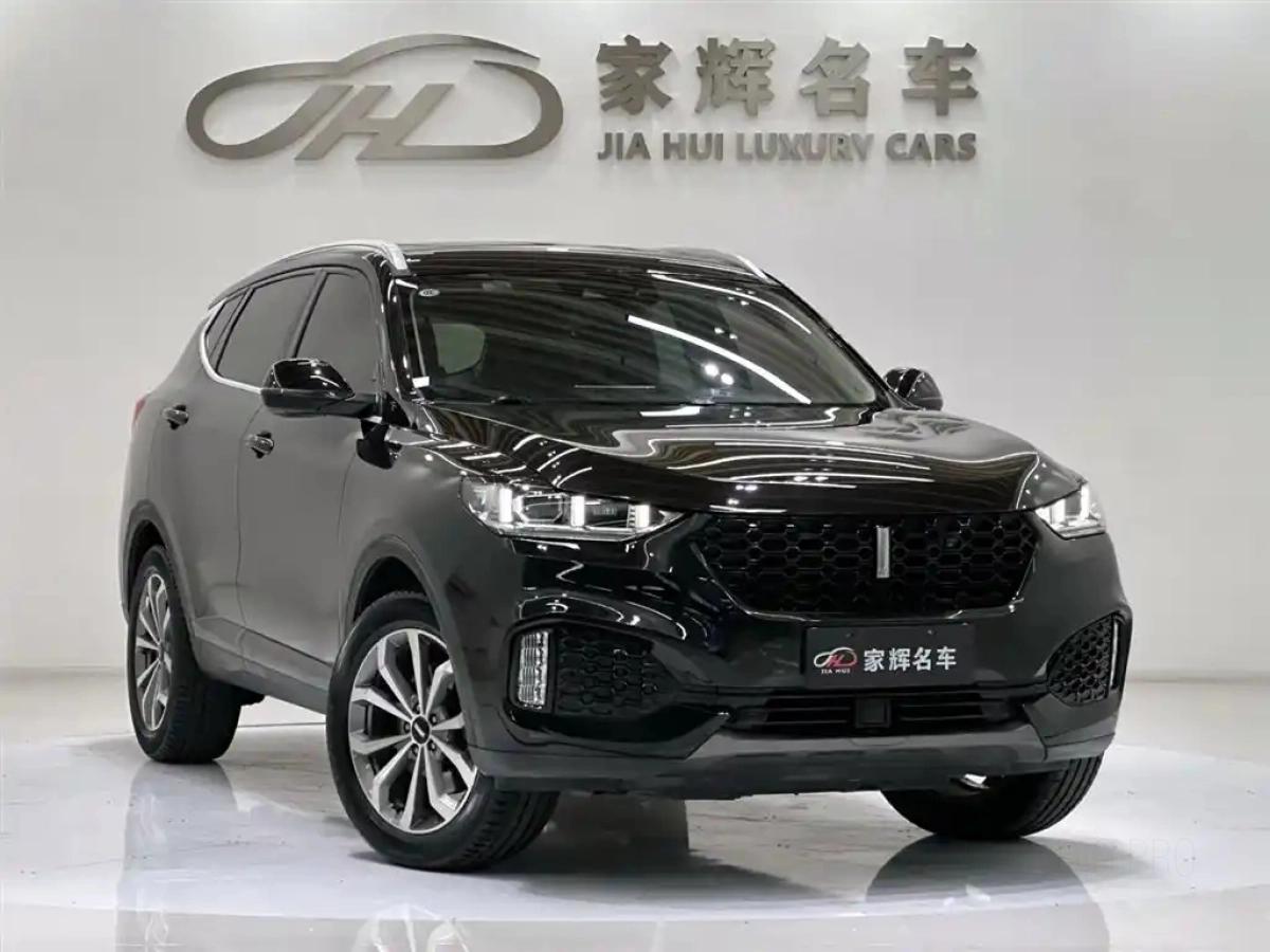 WEY VV6