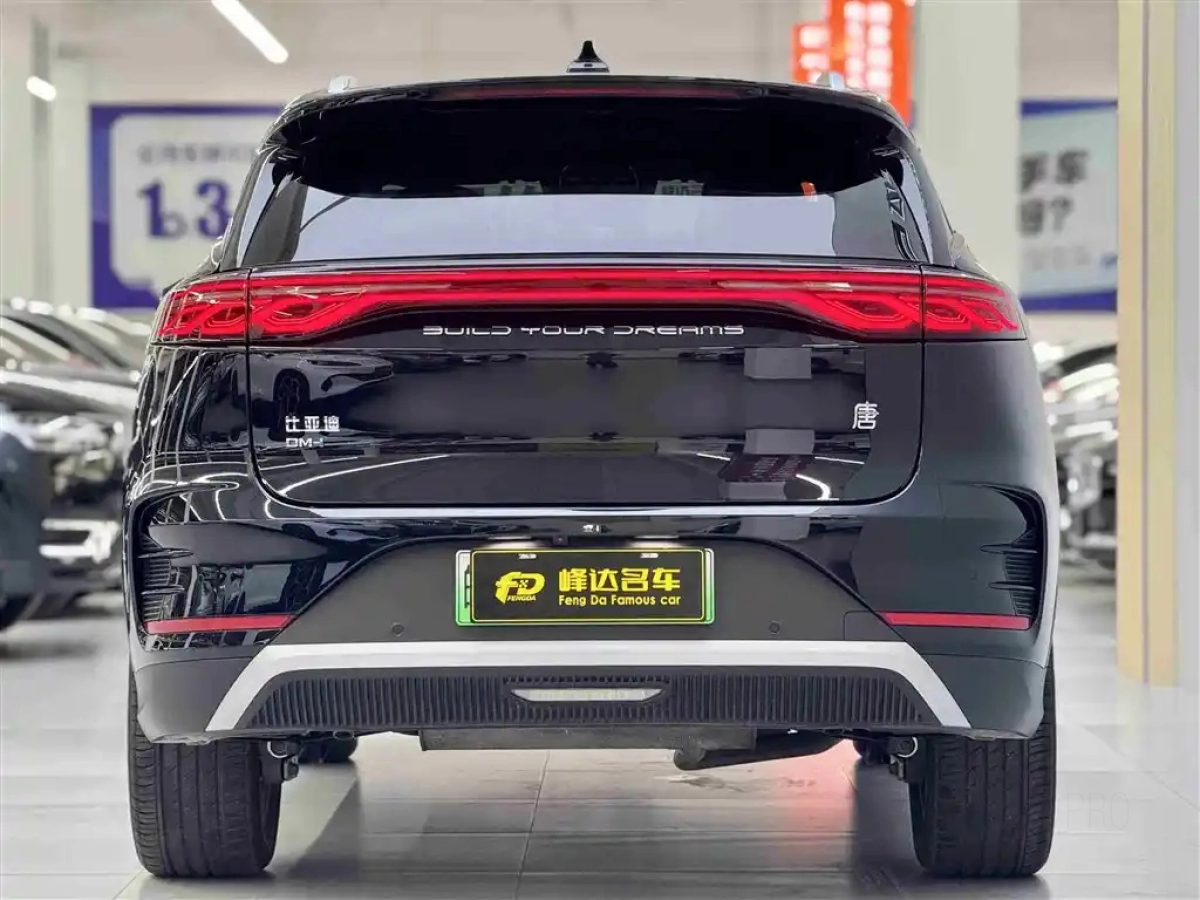 BYD TANG NEW ENERGY