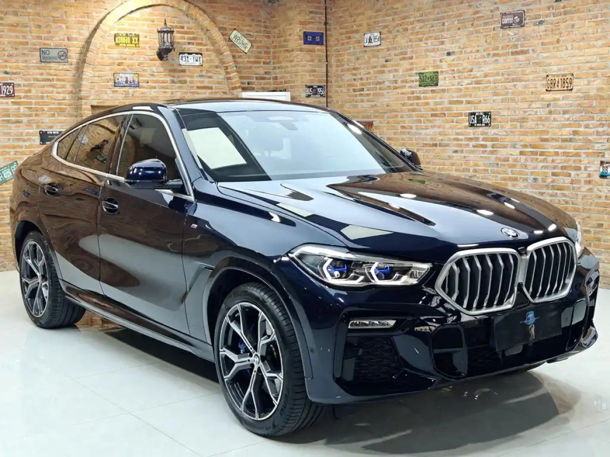 BMW X6