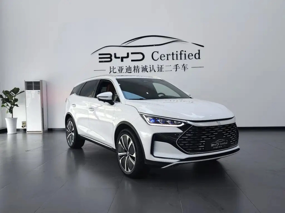 BYD TANG NEW ENERGY