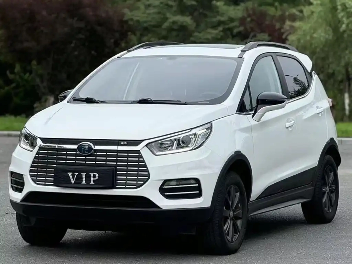 BYD YUAN NEW ENERGY