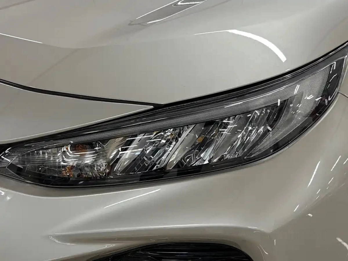 TOYOTA WILDLANDER