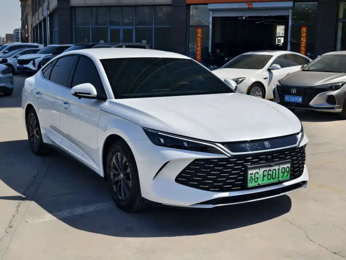 BYD QIN L