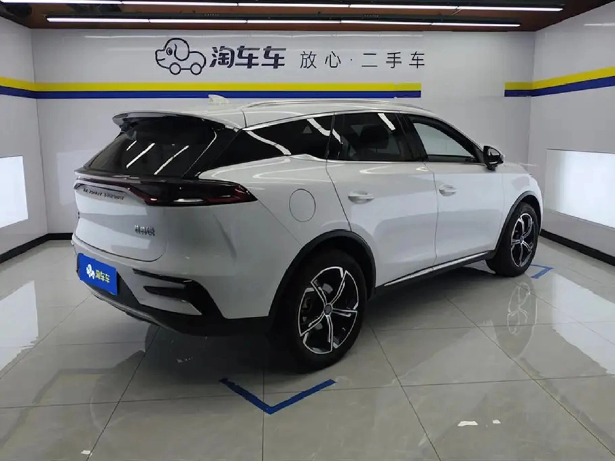 BYD TANG NEW ENERGY