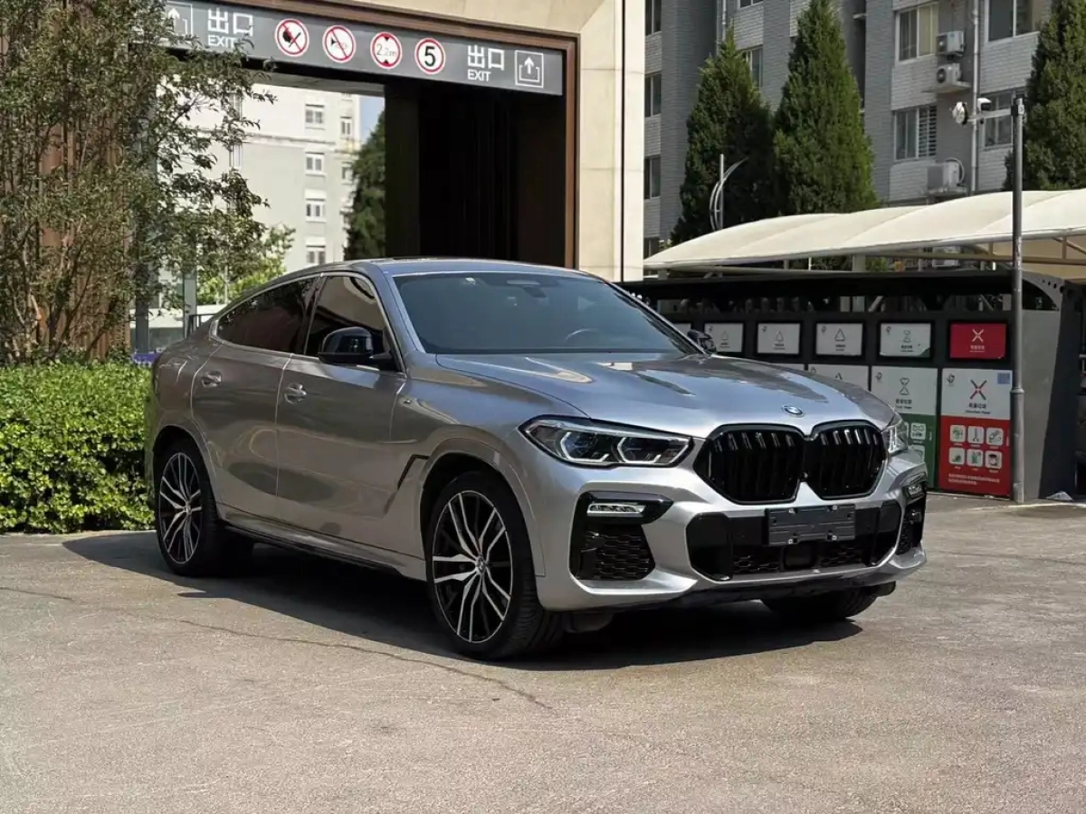 BMW X6
