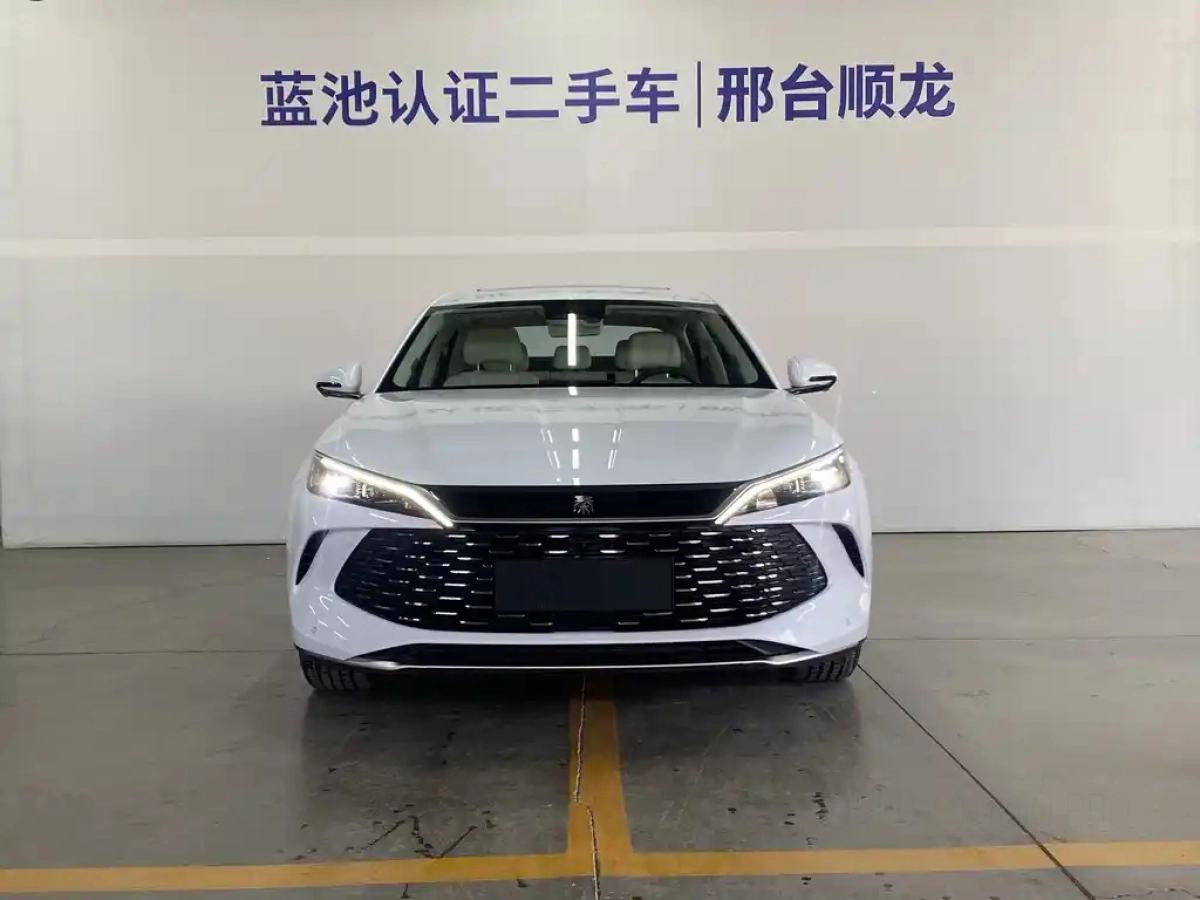 BYD QIN L