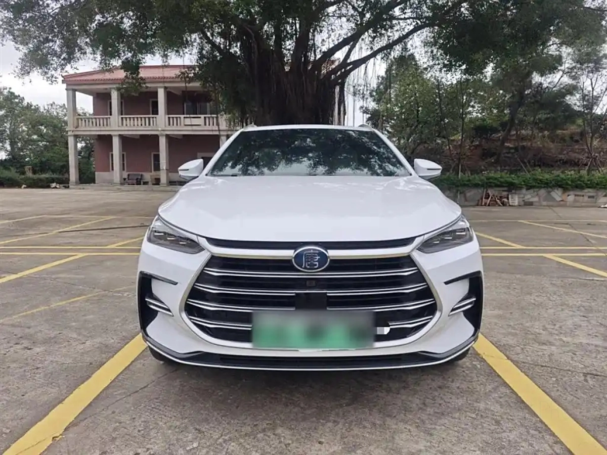 BYD TANG NEW ENERGY