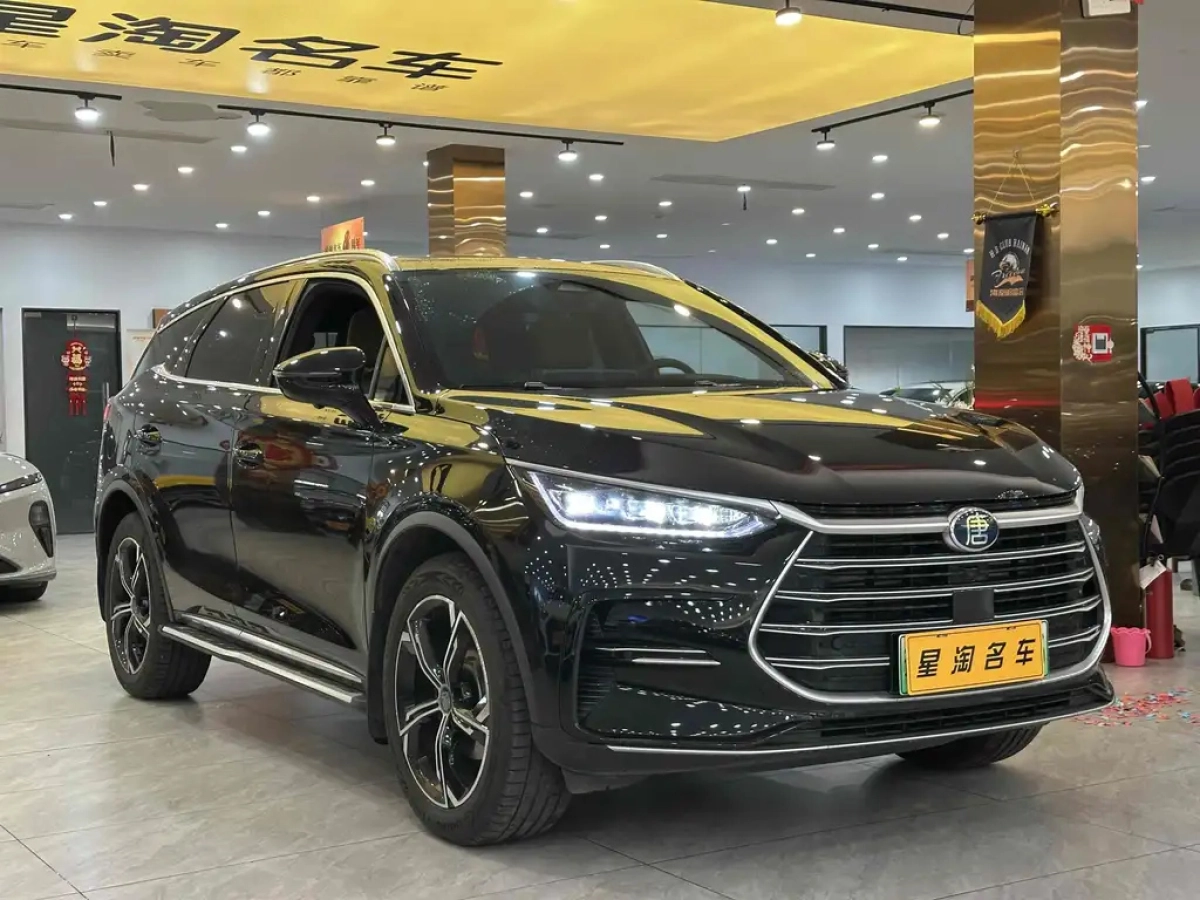 BYD TANG NEW ENERGY