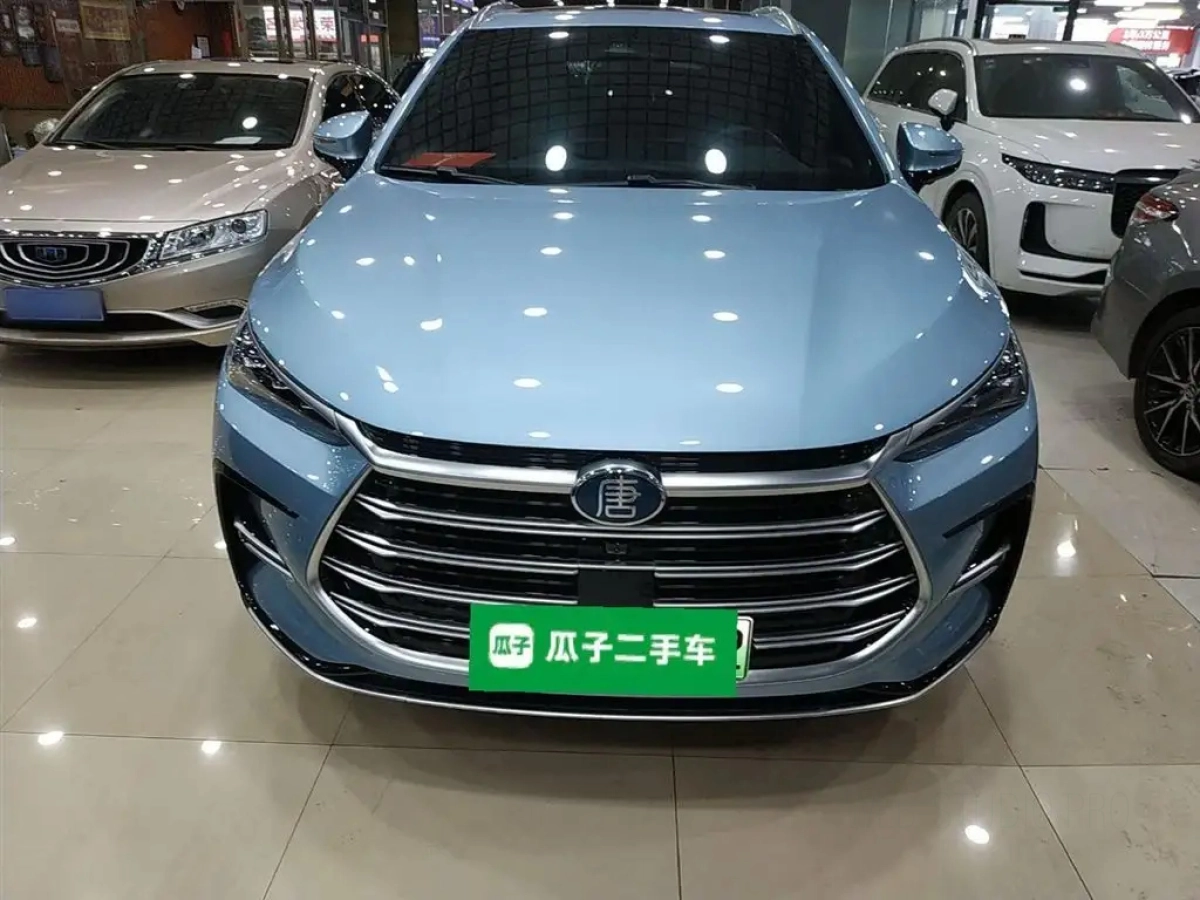 BYD TANG NEW ENERGY