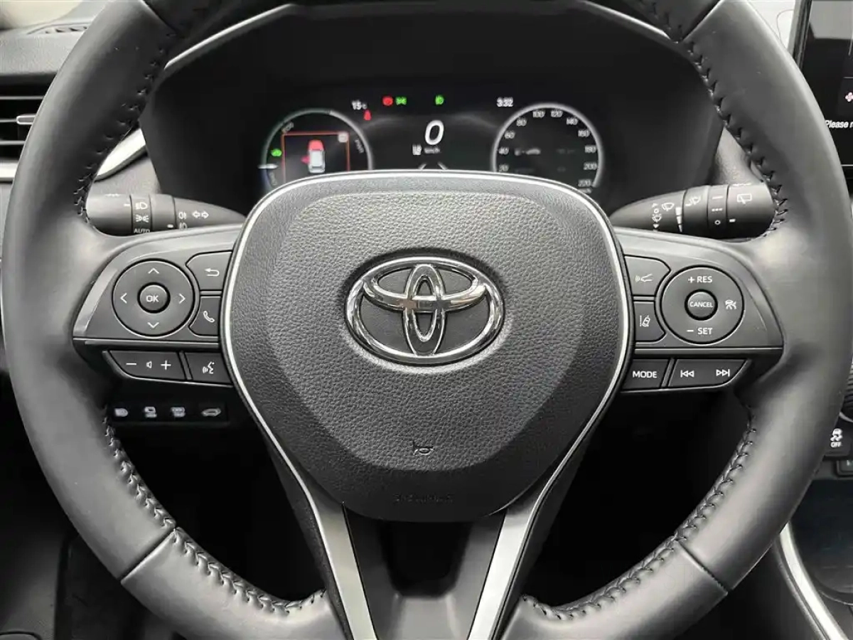 TOYOTA WILDLANDER