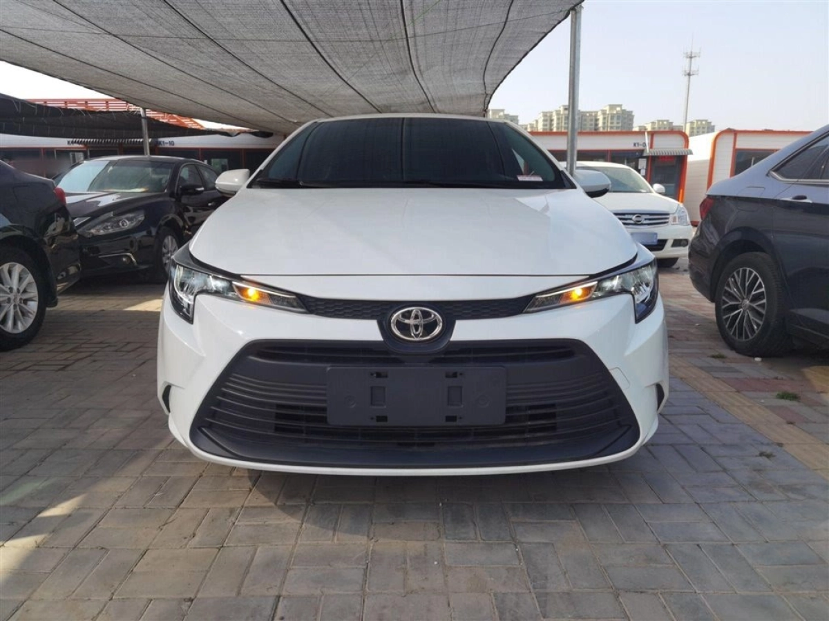 TOYOTA RALINK