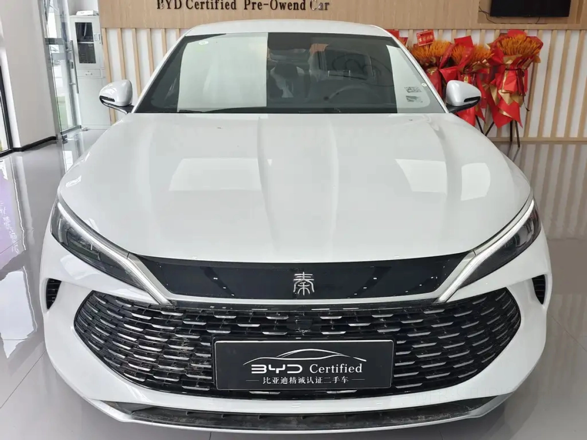 BYD QIN L