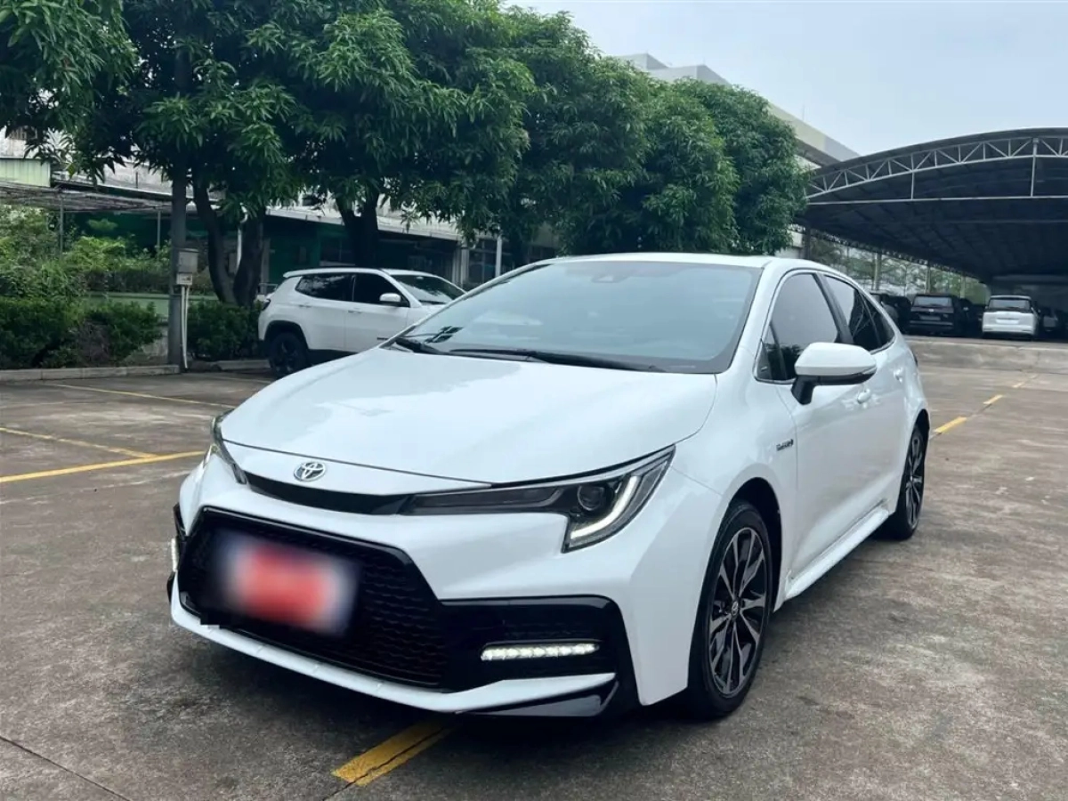 TOYOTA RALINK