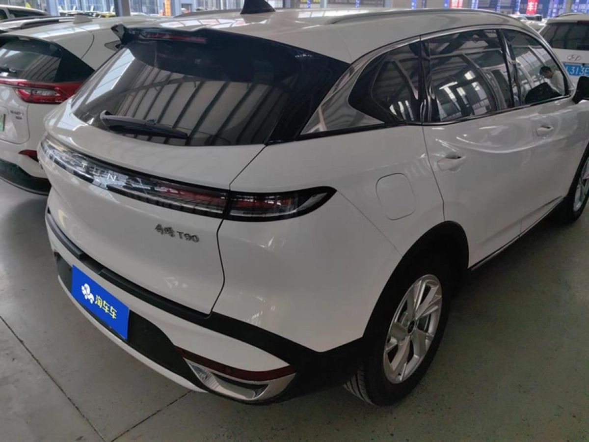 BESTURN T90