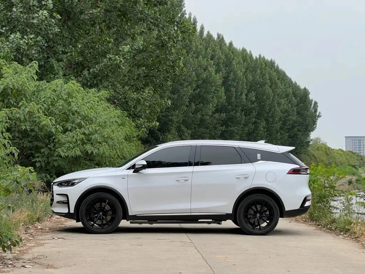 BYD TANG NEW ENERGY
