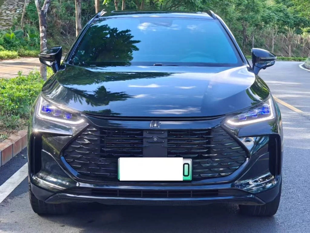 BYD TANG NEW ENERGY