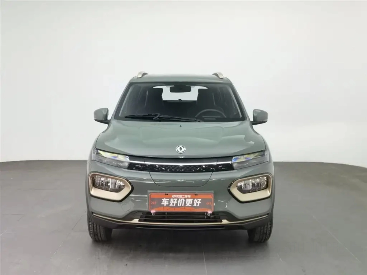 DONGFENG OTHER