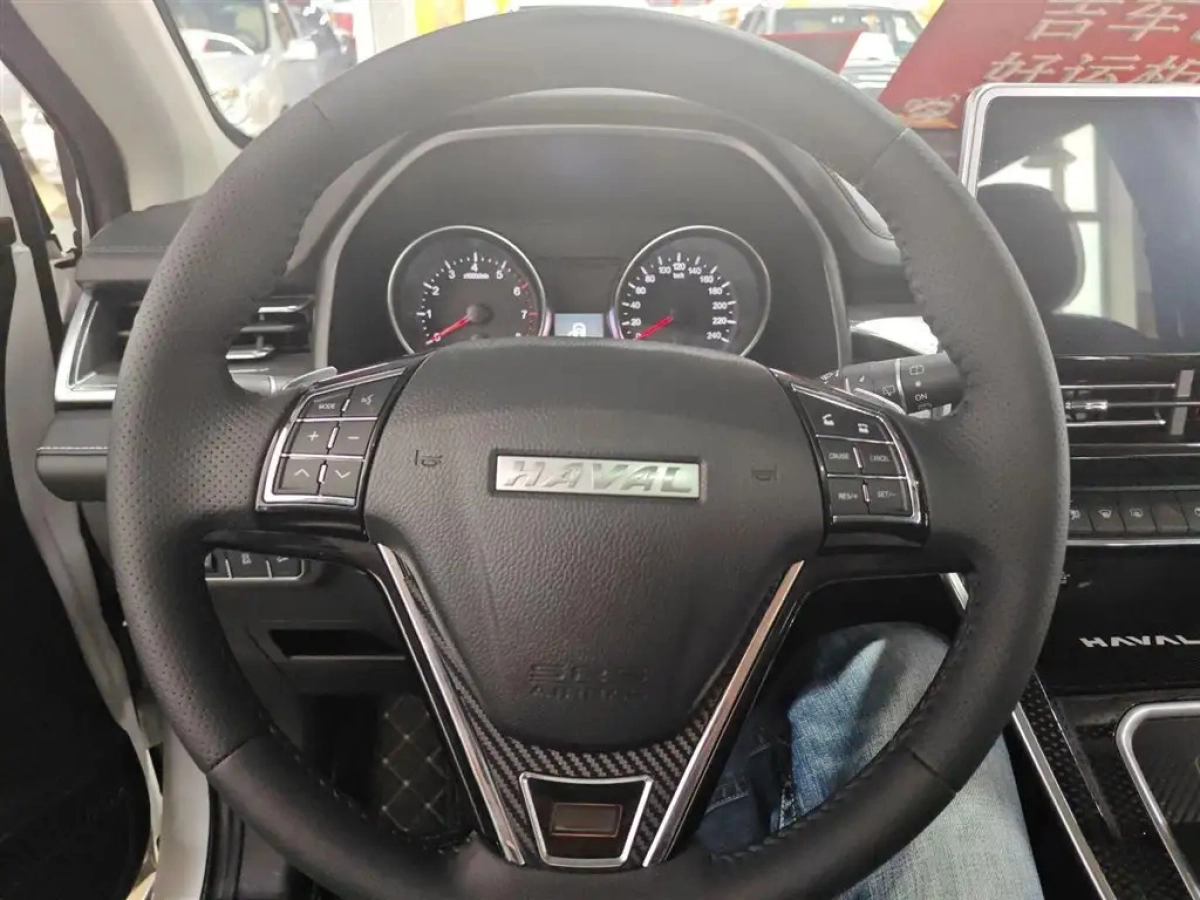 HAVAL M6