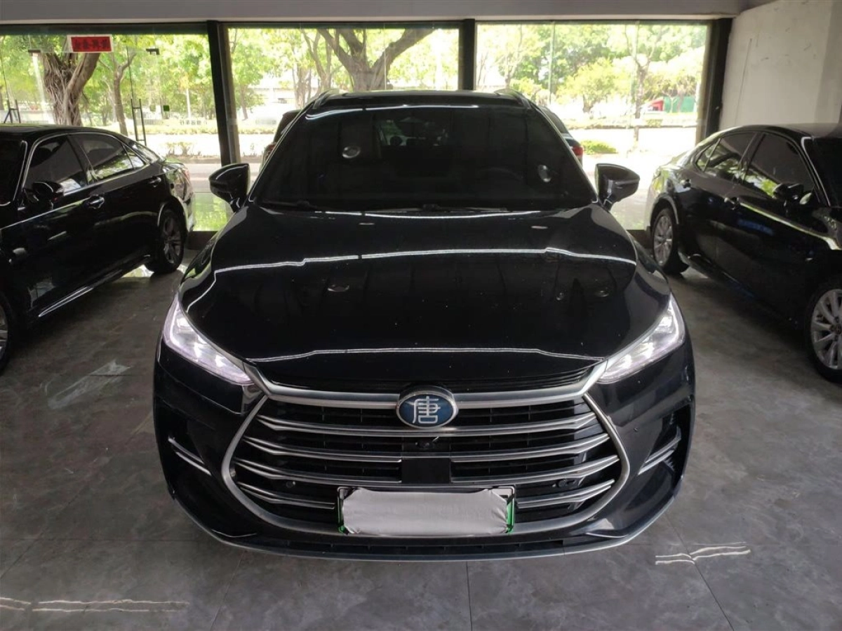 BYD TANG NEW ENERGY