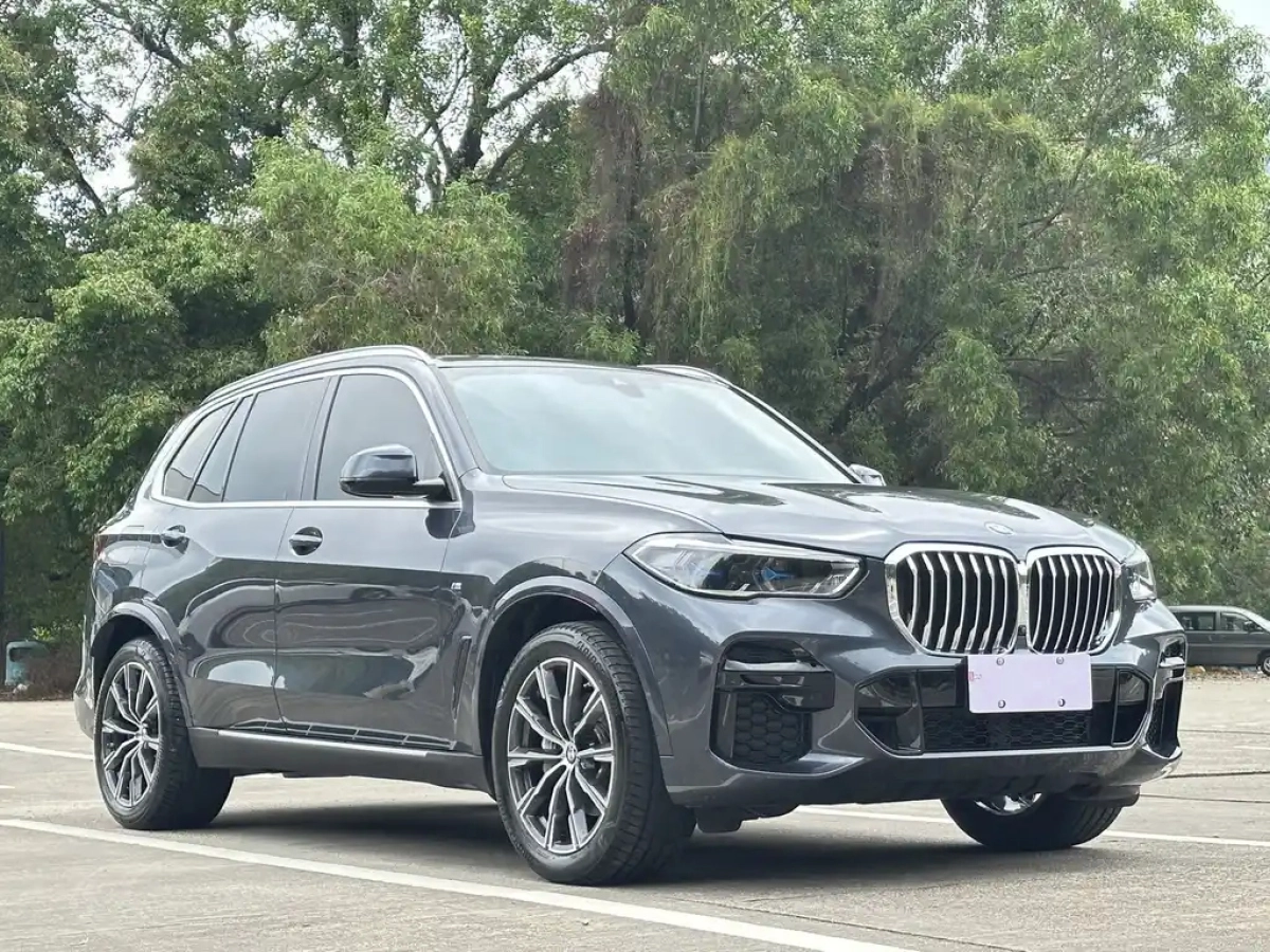 BMW X5 IMPORT