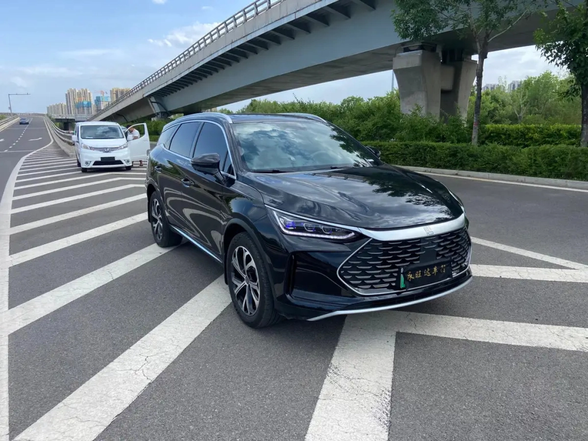 BYD TANG NEW ENERGY