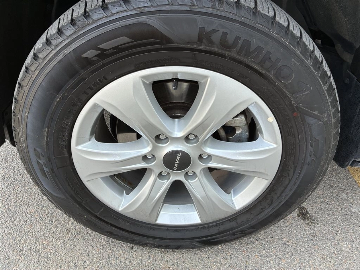 HAVAL H9