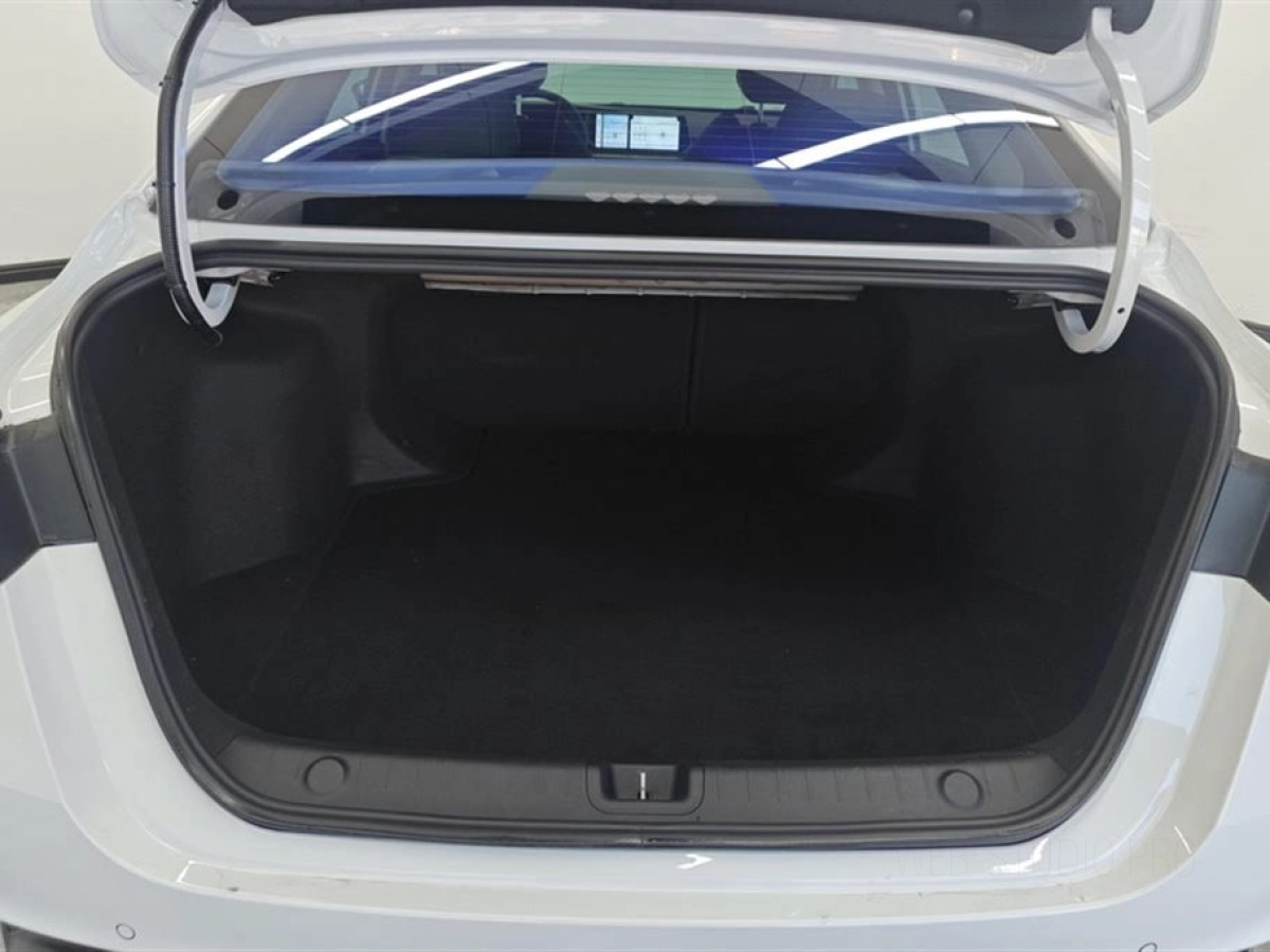 GEELY AUTO BINRUI