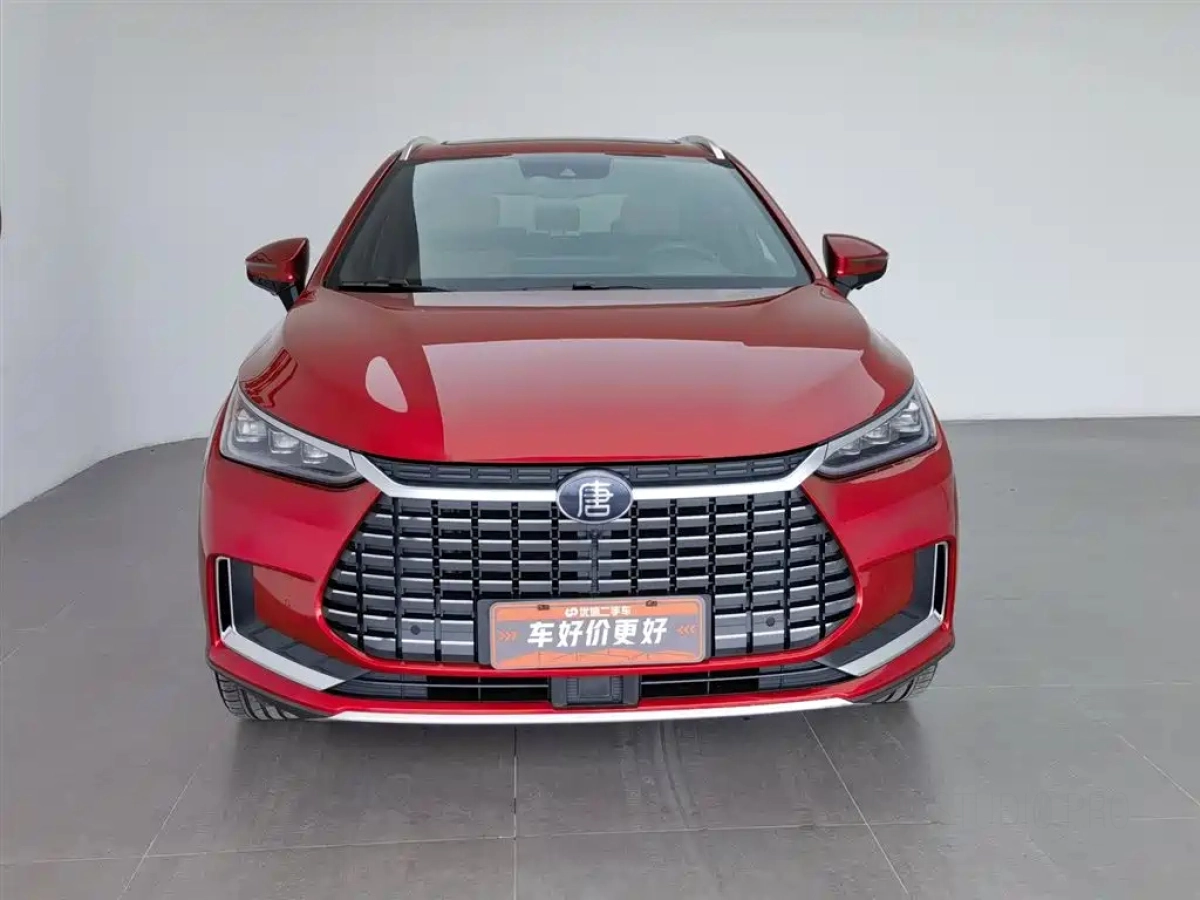 BYD TANG NEW ENERGY