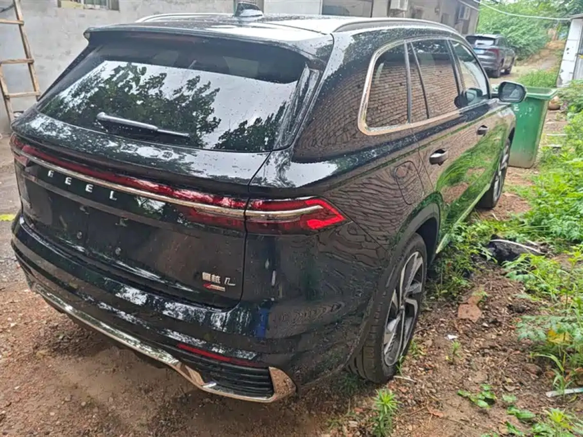 GEELY AUTO MONJARO