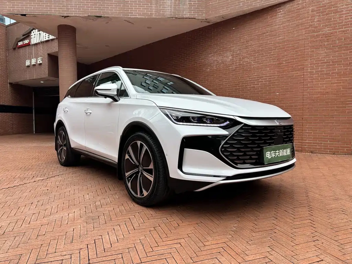 BYD TANG NEW ENERGY