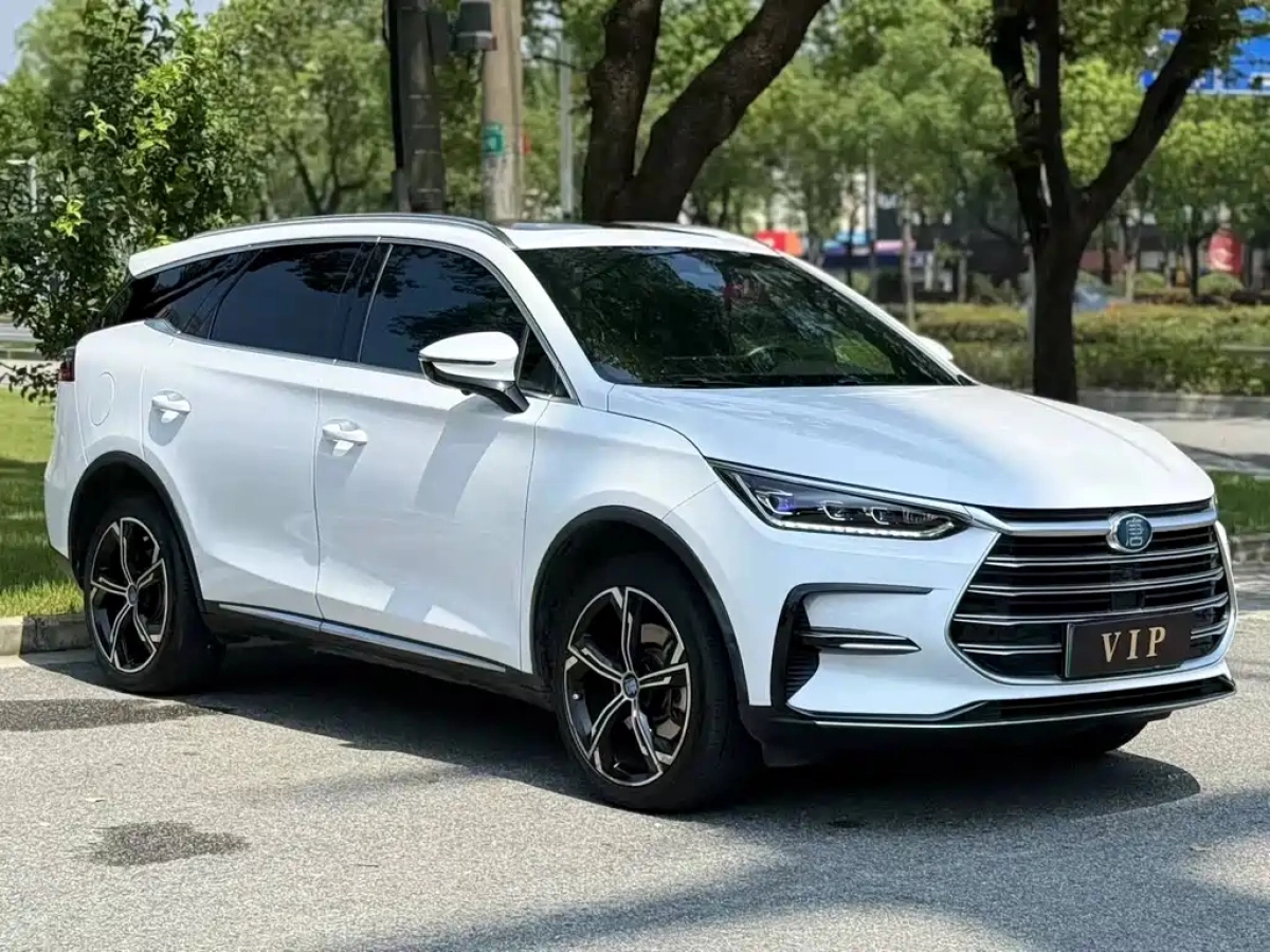 BYD TANG NEW ENERGY